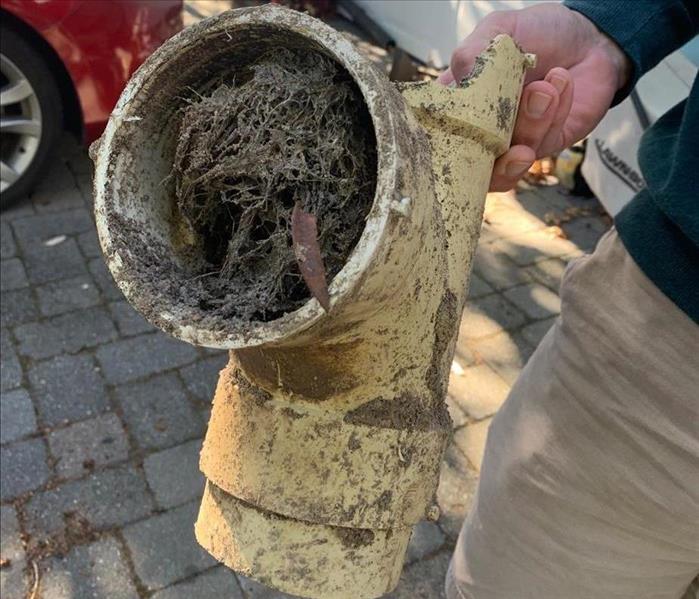 Tree roots clogged this sewer pipe
