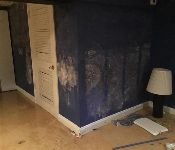 water on floor and mold covering walls